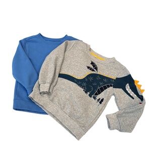 Toddler Boys Long Sleeve Blue & Dinosaur Sweatshirt Bundle 5T